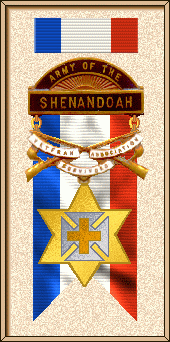 AotS Medal